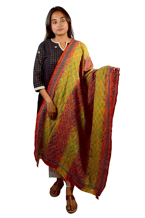 Craftooba Multicolored Katha Stitch Embroidered Dupatta | Embroidered Dupatta | Katha Stich Dupatta |