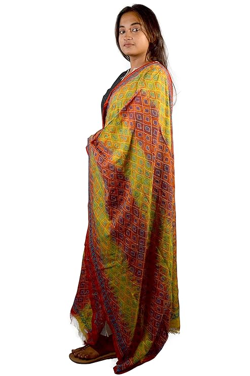 Craftooba Multicolored Katha Stitch Embroidered Dupatta | Embroidered Dupatta | Katha Stich Dupatta |